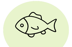 Fisk & Skaldjur